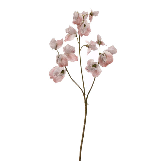 Real Touch Lathyrus Beige 66 cm | Geluk in Bloei Geluk in bloei