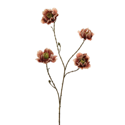 Winteranemoon 93 cm | Roze Geluk in bloei