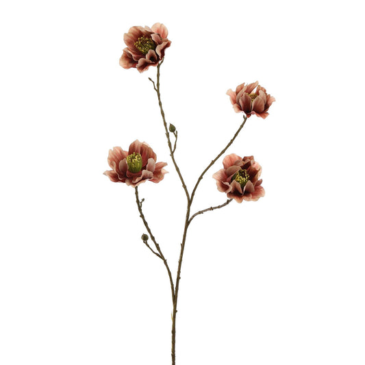 Winteranemoon 93 cm | Roze Geluk in bloei
