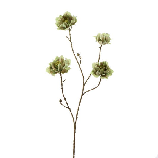 Winteranemoon 93 cm | Groen Geluk in bloei