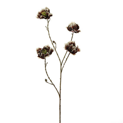 Winteranemoon 93 cm | Bruin Geluk in bloei
