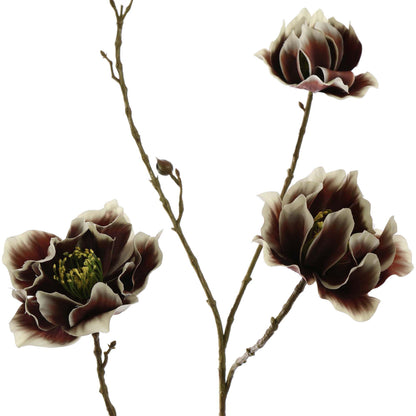 Winteranemoon 93 cm | Bruin Geluk in bloei