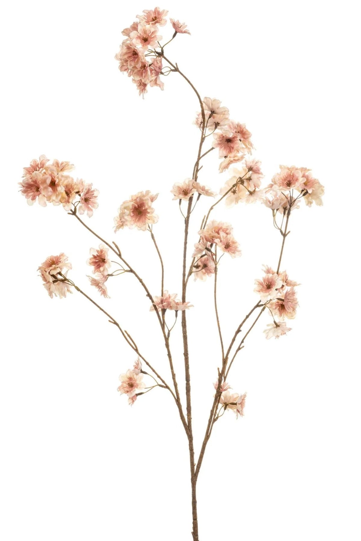 Bloesemtak Oudroze | 126 cm Geluk in bloei