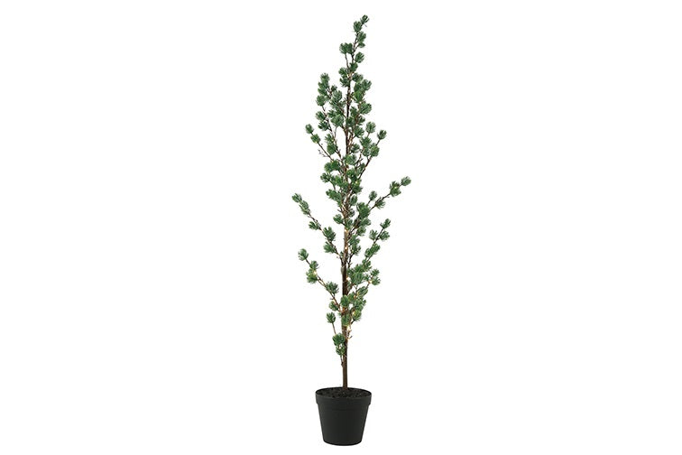 LED kerstboom Pinus Mugo groen | 125 cm Geluk in bloei