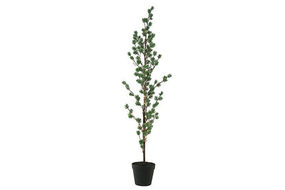 LED kerstboom Pinus Mugo groen | 125 cm Geluk in bloei