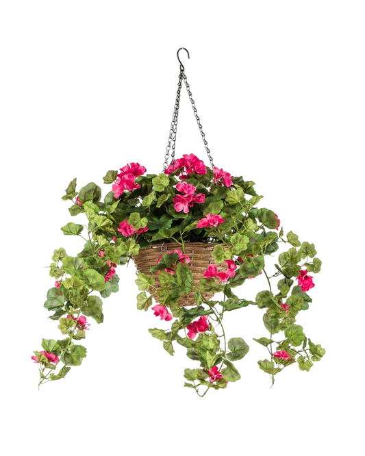 Geranium zijden hangplant 70 cm | Donker roze Geluk in bloei