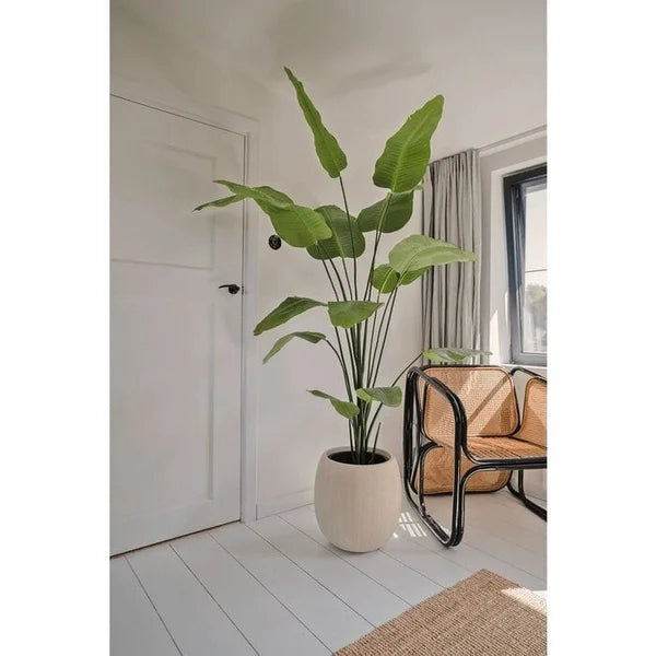 Strelitzia kunstplant | Diverse maten 120 - 210 cm