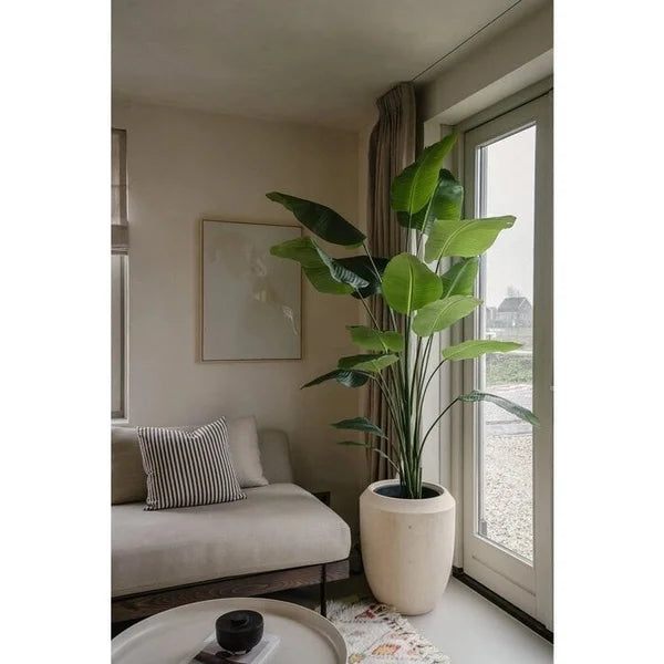 Strelitzia kunstplant | Diverse maten 120 - 210 cm