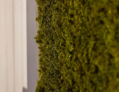 Deluxe Mosschilderij – luxe groene wanddecoratie Geluk in bloei