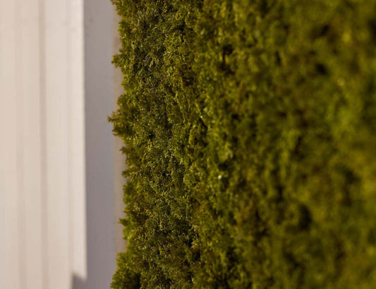 Deluxe Mosschilderij – luxe groene wanddecoratie Geluk in bloei