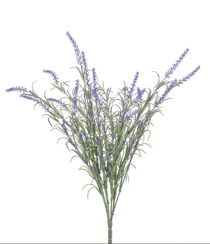 lila lavendel