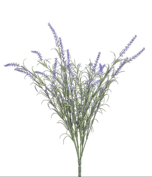 lila lavendel