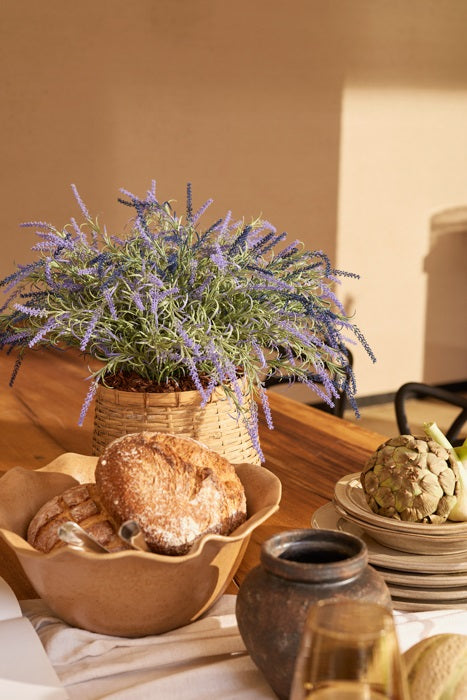 lavendel in pot