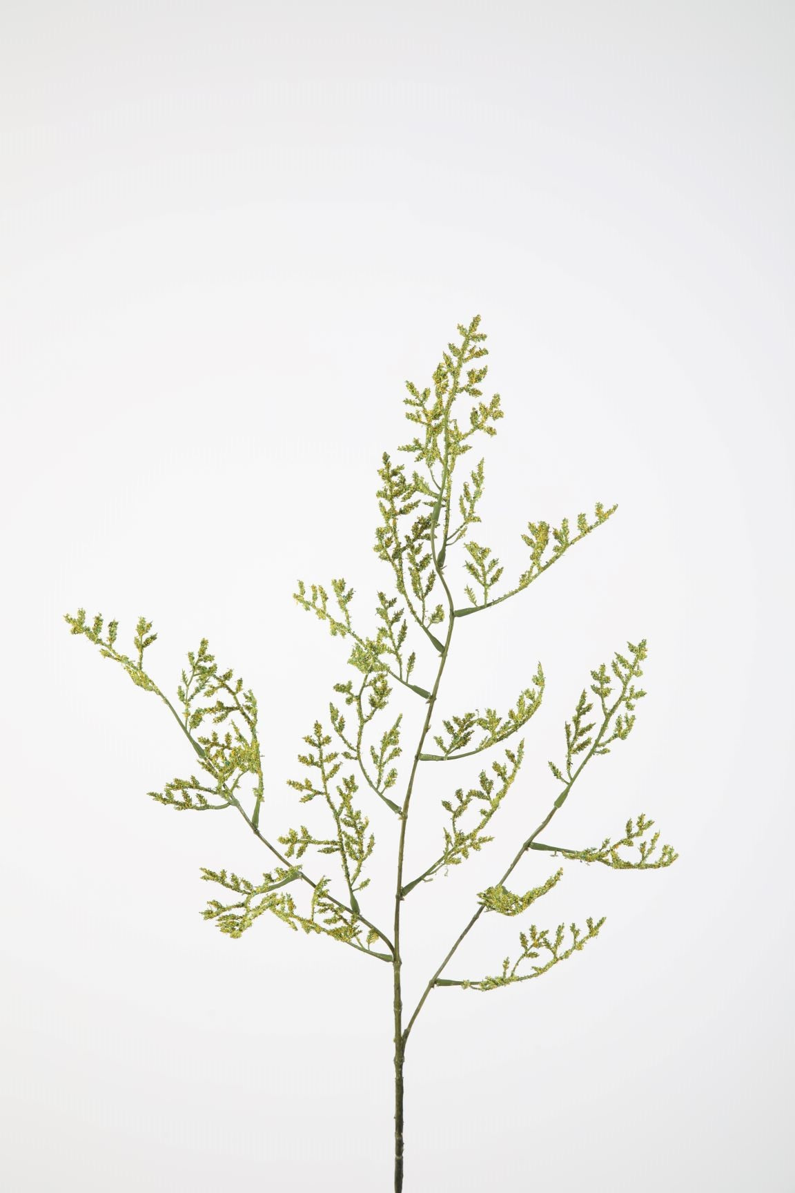 Limonium kunsstak | Geel Geluk in bloei