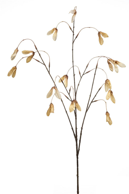 Maple seed beige | 100 cm Geluk in bloei