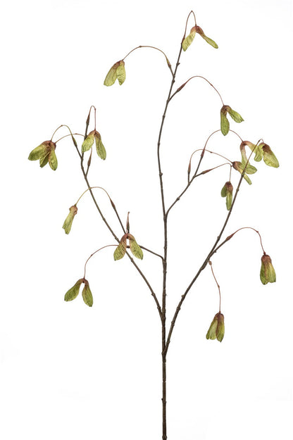 Maple seed groen | 100 cm Geluk in bloei