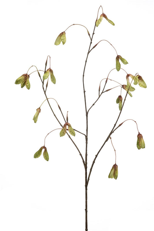 Maple seed groen | 100 cm Geluk in bloei
