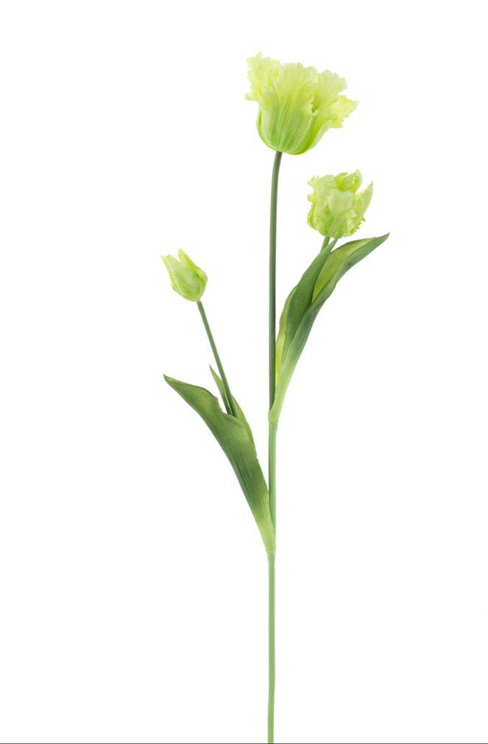 Kunst Papegaaien Tulp 71 cm | Groen Geluk in bloei