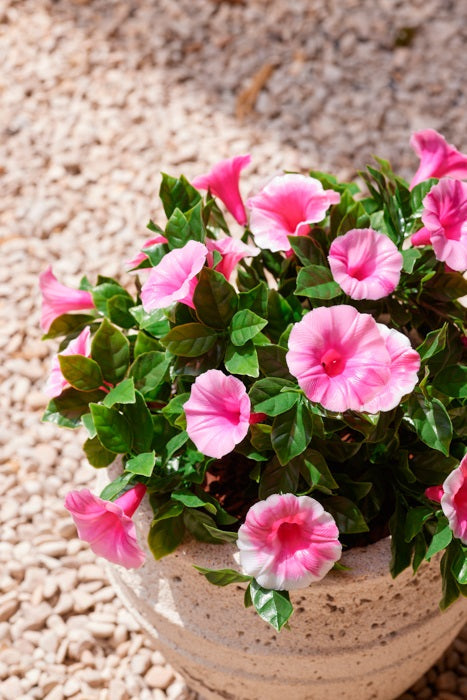 Petunia zijden buiten plant roze 28 cm - UV bestendig Geluk in bloei